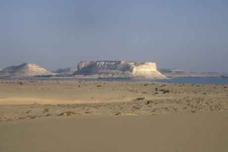 A Szaharában ritka a szabad felületű víz, ráadásul az oázis-tavak és  víznyerők vize gyakran ihatatlanul sós (Siwa-oázis, Nyugat-Egyiptom).
